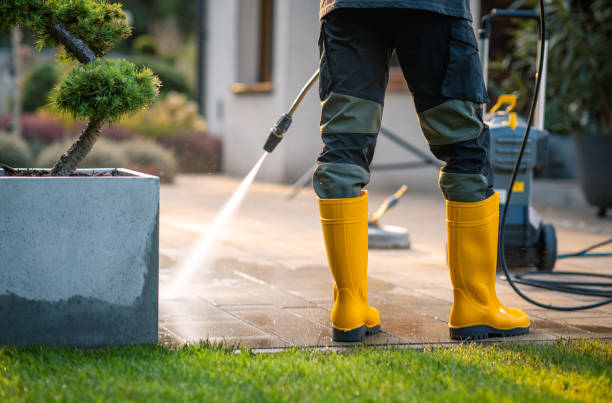 Best Local Pressure Washing Services  in Bayou Gauche, LA